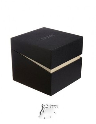 سیتیزن زنانه مچی اکودرایو